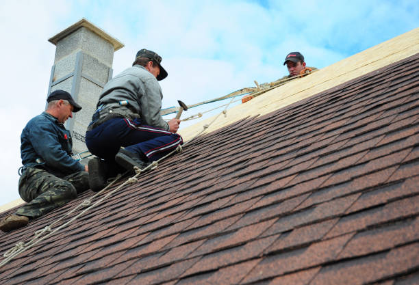 Best Metal Roofing Contractor  in Ricardo, TX